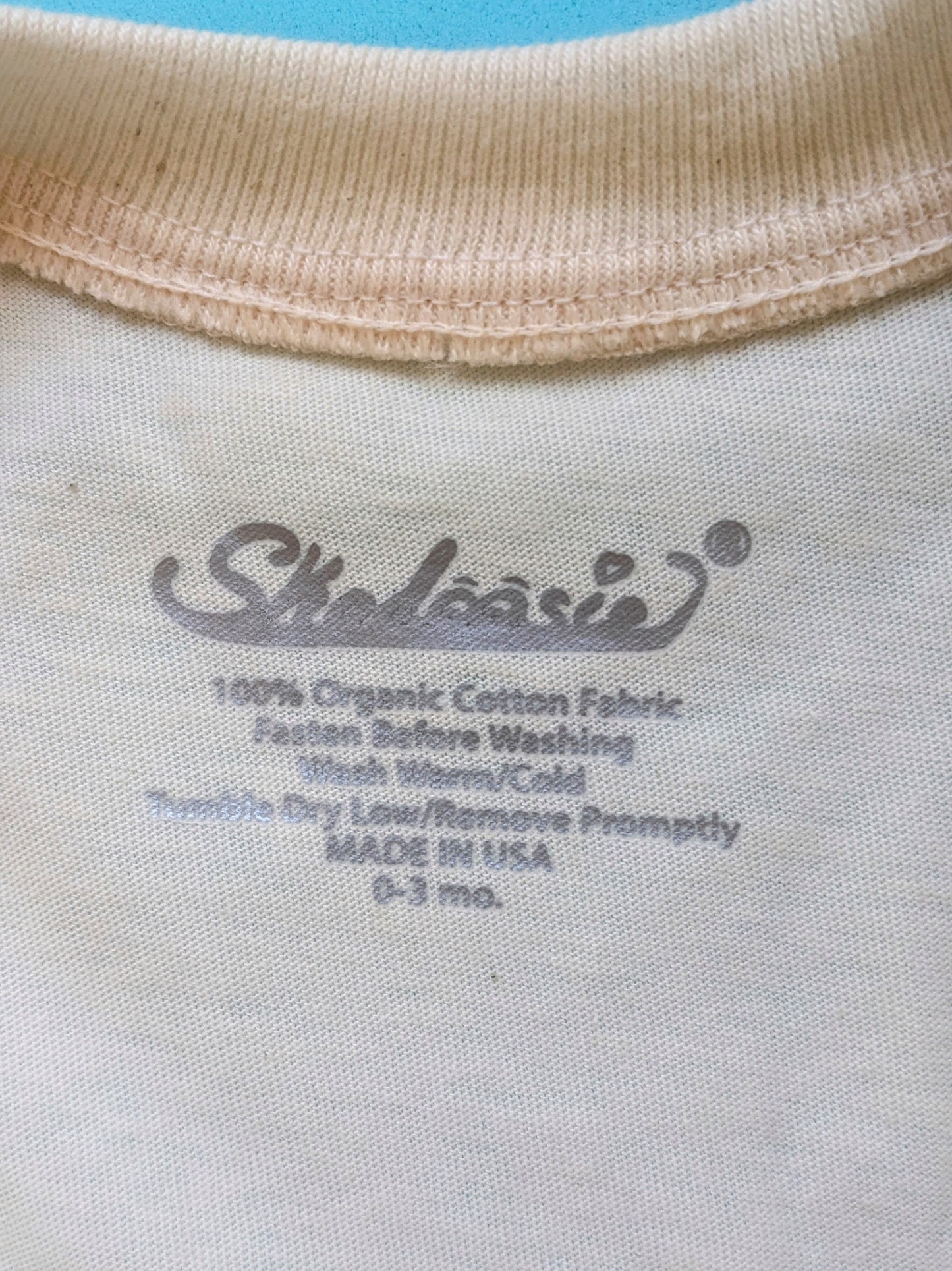 Monkey Business Baby Bodysuit