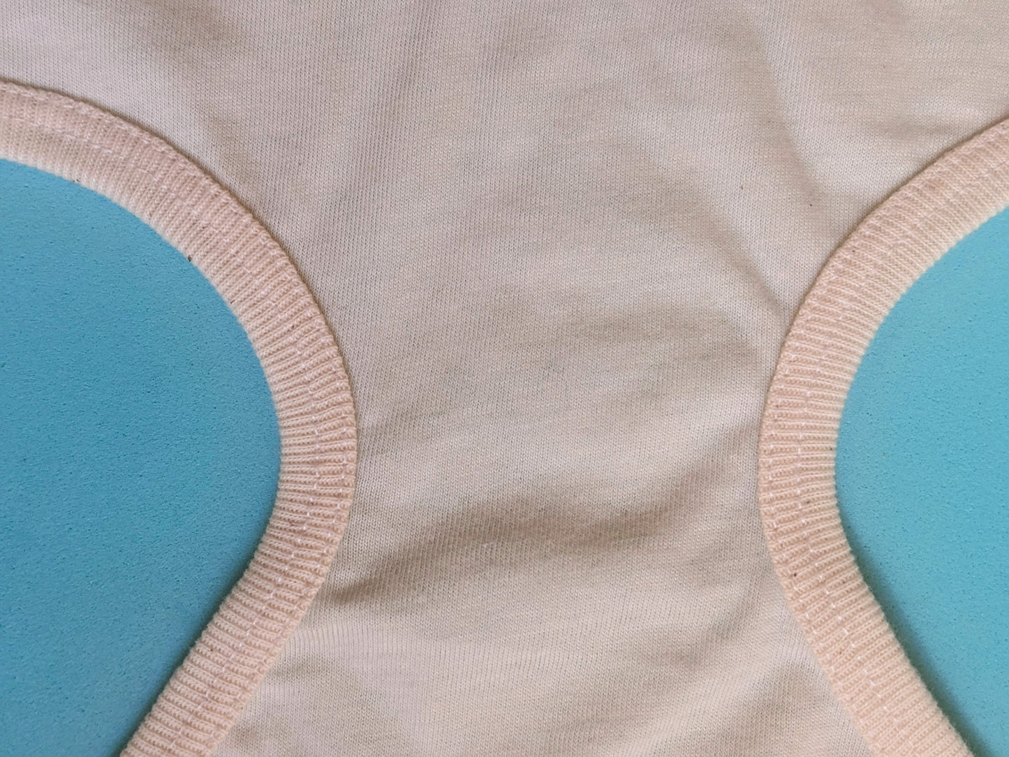 Monkey Business Baby Bodysuit