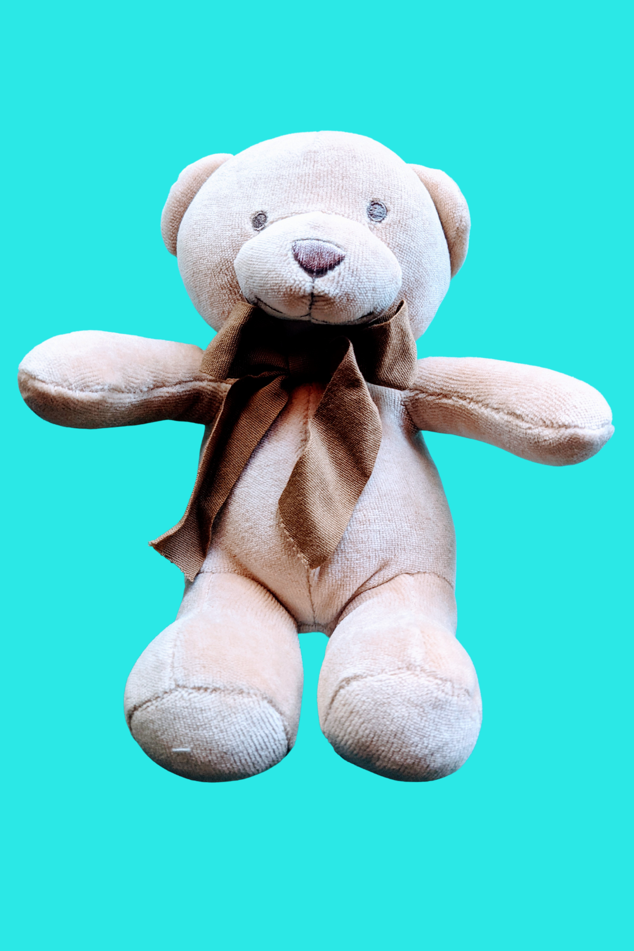 Organic Stuffed Animal